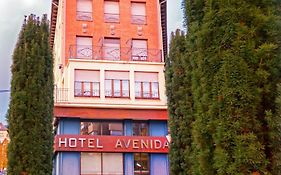 Hotel Avenida la Seu D'urgell